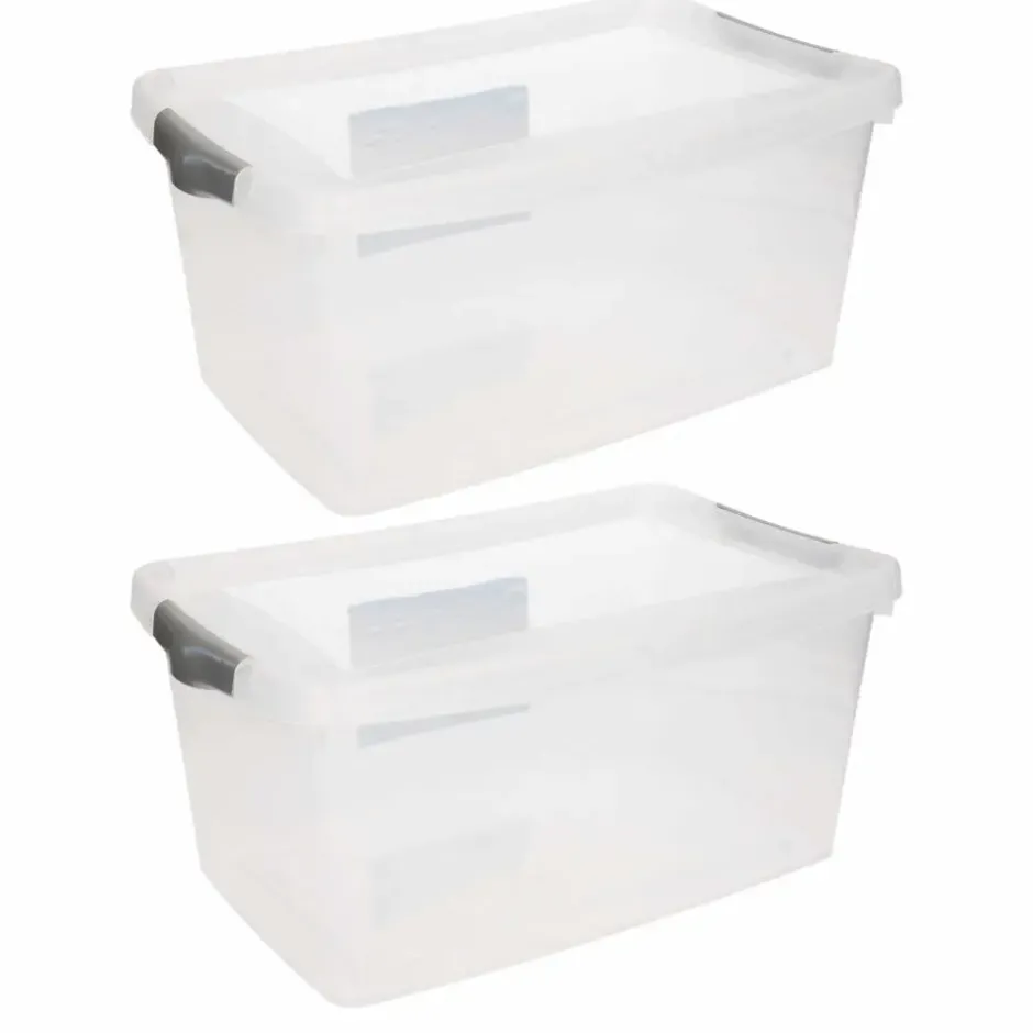 Hega Hogar Opbergbak - met deksel - 4 liter - 29 x 19 x 13 cm