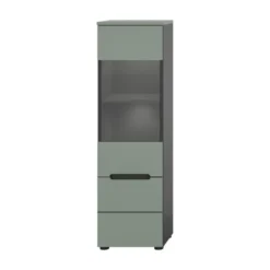 Hioshop Canu vitrinekast 1 glasdeur stofgroen- donkergrijs