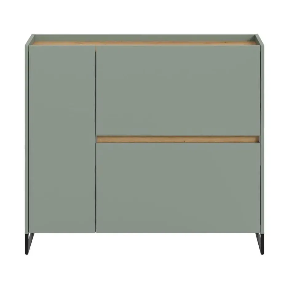 Hioshop Drive schoenenkast 1 deur- 2 vouwdeuren salvie decor