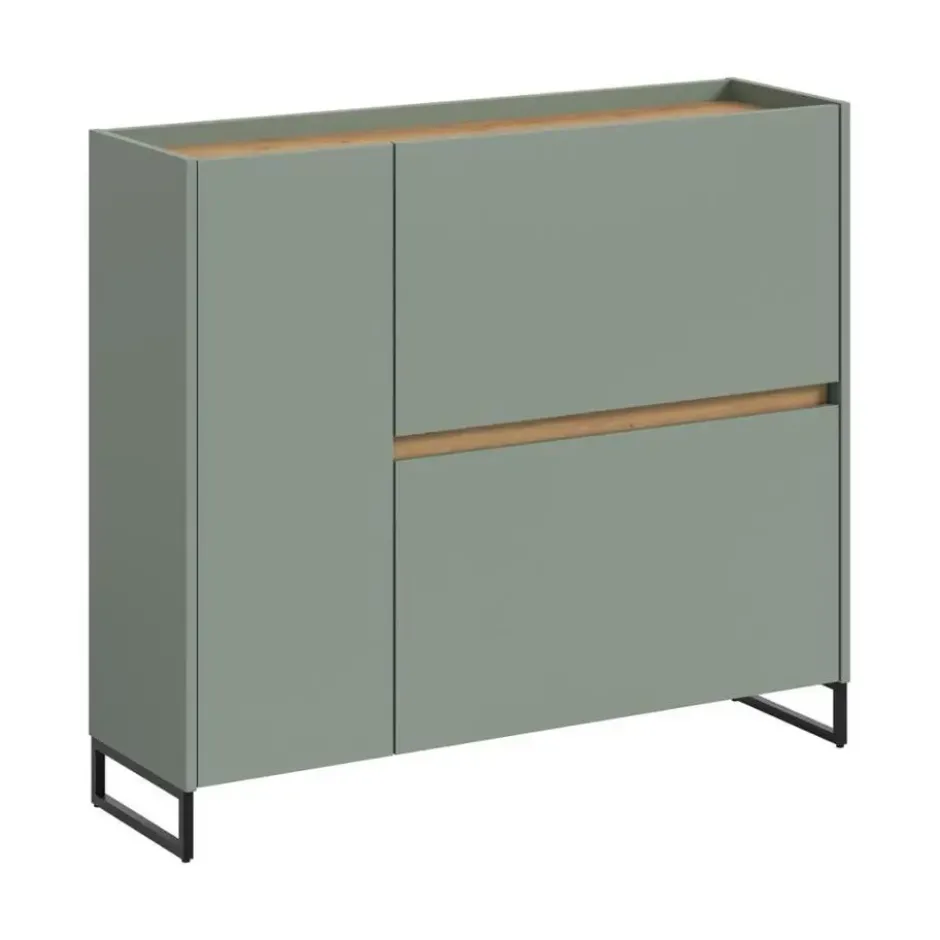 Hioshop Drive schoenenkast 1 deur- 2 vouwdeuren salvie decor