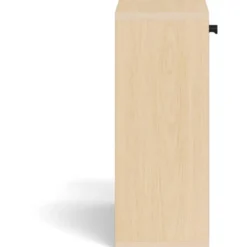 Hioshop Dylan schoenenkast 1 lade natuur