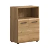 Hioshop Ice badkamerkast 2 deuren- 1 plank eiken decor