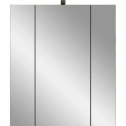 Hioshop Ice spiegelkast inclusief verlichting 3 spiegeldeuren zwart mat- eiken