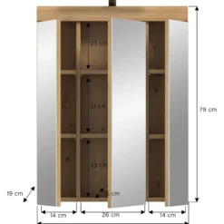 Hioshop Scout spiegelkast 2 deuren- 3 spiegeldeuren- 3 planken salvie decor-