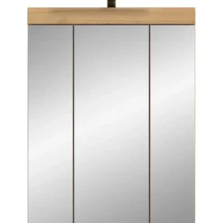 Hioshop Scout spiegelkast 2 deuren- 3 spiegeldeuren- 3 planken salvie decor-