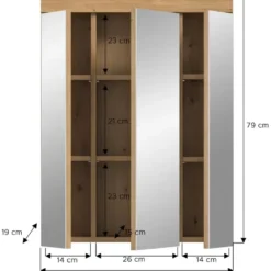 Hioshop Scout spiegelkast 3 spiegeldeuren salvie decor- eiken decor