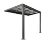 HOME DELUXE Terrasoverkapping SOLIS DELUXE grijs 290 x 295 x 233 / 272 cm
