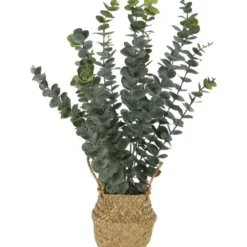 Home & Styling Kunstplant Eucalyptus - met Rieten Mand - 50 cm