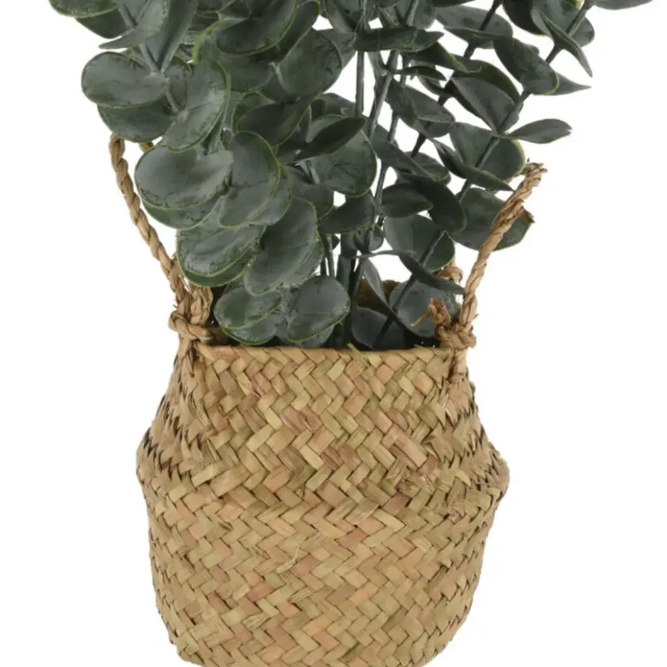 Home & Styling Kunstplant Eucalyptus - met Rieten Mand - 50 cm