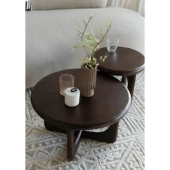 Housecraft Living Jani Salontafel Rond 60 cm Mangohout Donkerbruin