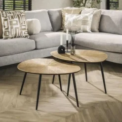 Hoyz Collection - Salontafel Set-2 Organisch Ray - Brons/Goud Metaal