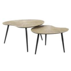 Hoyz Collection - Salontafel Set-2 Niervormig Ray - Brons/Goud Metaal
