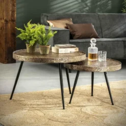Hoyz - Salontafel Rond Metallic - Goudkleurig - Set van 2