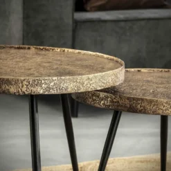 Hoyz - Salontafel Rond Metallic - Goudkleurig - Set van 2