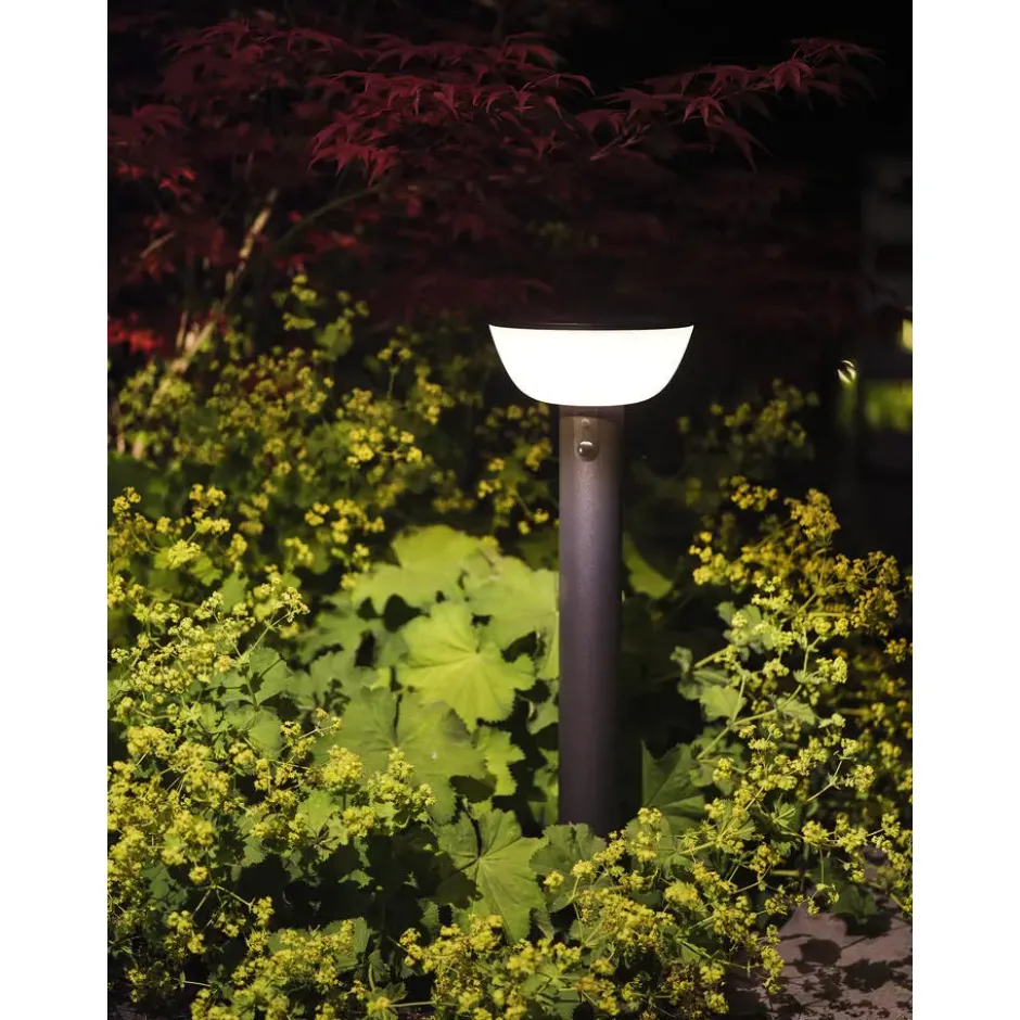 Hybride padlamp Lawton 45/300LM zwart