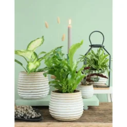 Ideas4seasons Plantenpot ribbel - creme wit - D14 x H10 cm