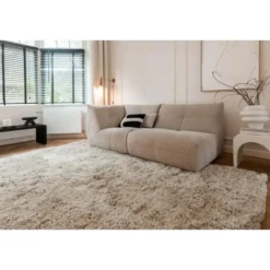 Interieur05 Hoogpolig Vloerkleed Polyester Pilo Beige - 230 x 160 cm