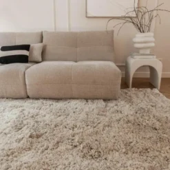 Interieur05 Hoogpolig Vloerkleed Polyester Pilo Beige - 230 x 160 cm