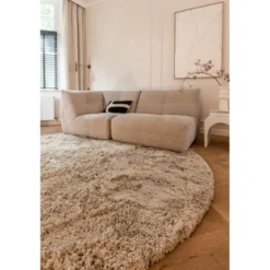 Interieur05 rond Hoogpolig Vloerkleed Polyester Pilo Beige - 240 x 240 cm