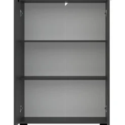 Kast Alaska 2-deurs - antraciet - 101x71x35 cm