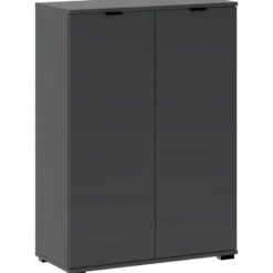 Kast Alaska 2-deurs - antraciet - 101x71x35 cm