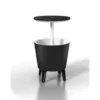 Keter Coolbar Partytafel - 49,5x49,5x57cm-84.5cm - 30 L - Zwart