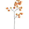 Kunstbloem Physalis Spray - oranje - 90 cm