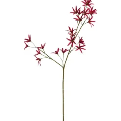 Kunstbloem Tweedia Spray - bordeaux - 70 cm