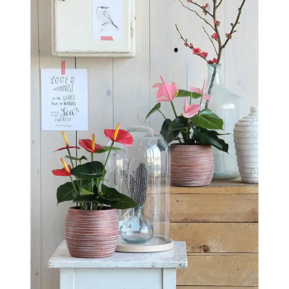 Kunstplant Anthurium - rood - in grijze pot - 40 cm