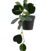 Kunstplant Japonica in pot - groen - 22 cm