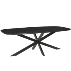 Livingfurn - Eetkamertafel Jesper Deens Ovaal Zwart 210cm - Mangohout