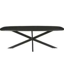 Livingfurn - Eetkamertafel Jesper Deens Ovaal Zwart 210cm - Mangohout