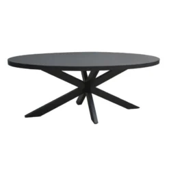 Livingfurn - Zwart Ovale Eetkamertafel - - Mango Hout - 240 cm