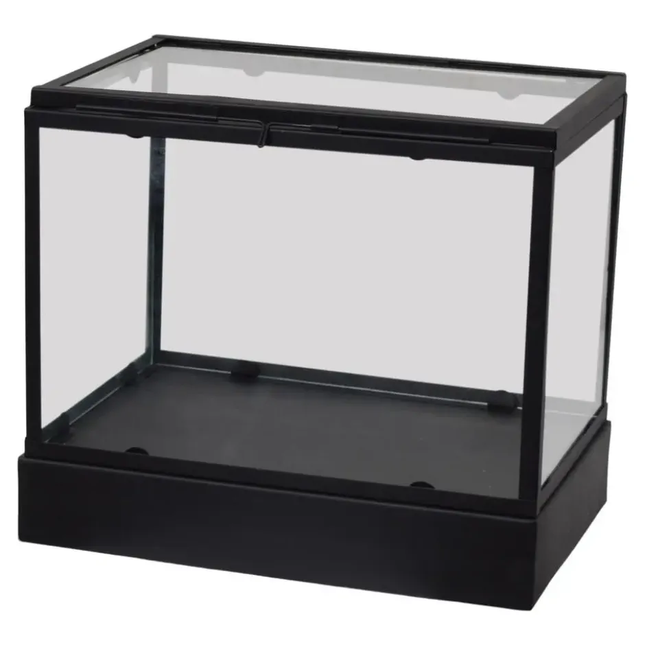 LOFT42 Showy Glazen Display Box Zwart - Metaal - (27x30x20)