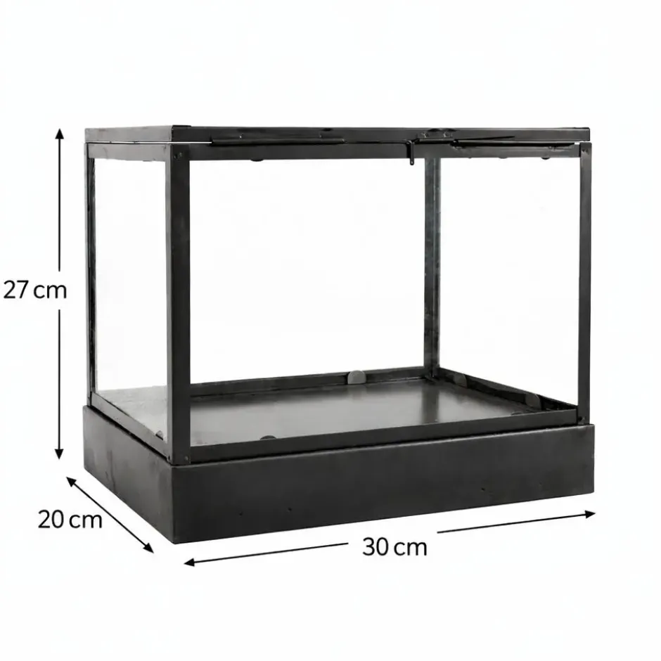 LOFT42 Showy Glazen Display Box Zwart - Metaal - (27x30x20)