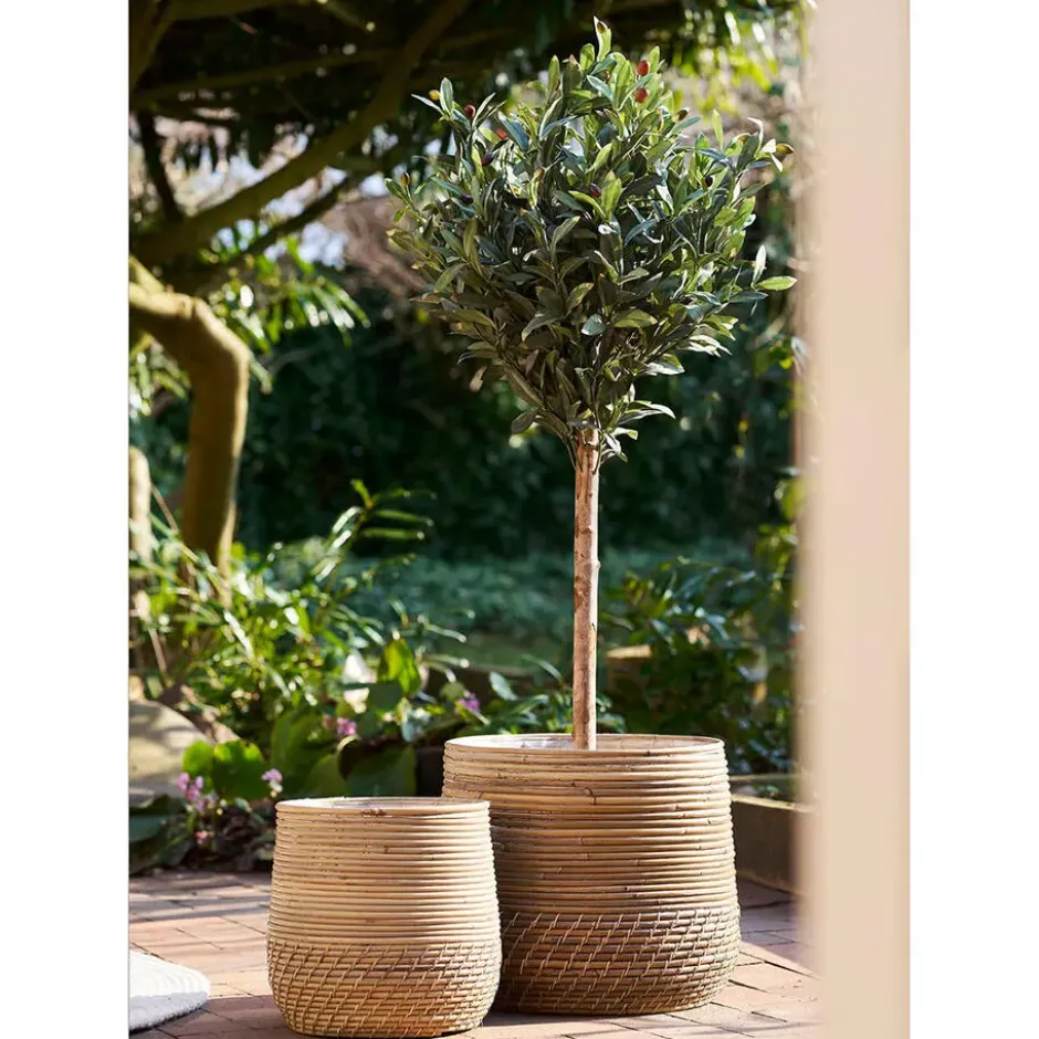 Mand Naturel Rotan - Set Van 2 - Moro Kubu