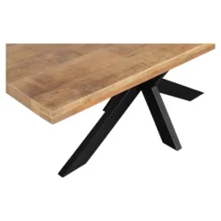 Mangohoutonline - Eettafel Memphis 300x120cm Rechthoekig Bruin