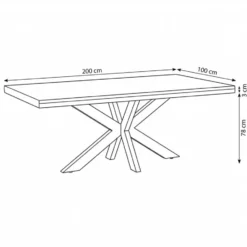 Mangohoutonline - Eettafel Memphis 200x100cm Rechthoekig Bruin