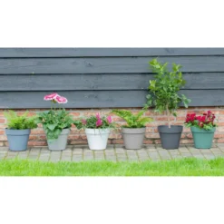 Mega Collections Plantenpot/bloempot - kunststof - zwart - D30 cm