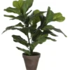 Mica Decoration Kunstplant - Ficus Lyrata - groen - 45 cm