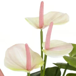 Mica Decorations Anthurium Kunstplant 40 cm lichtroze