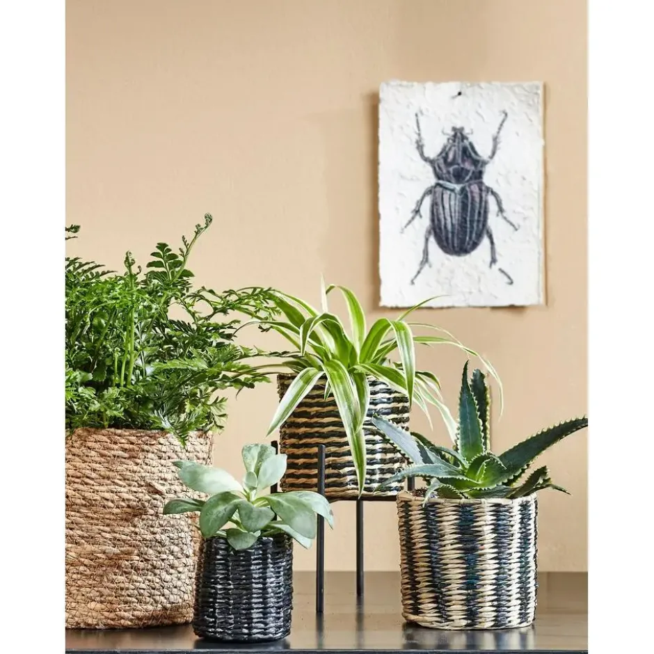 Mica Decorations Atlantic Mand voor Planten Set van 2