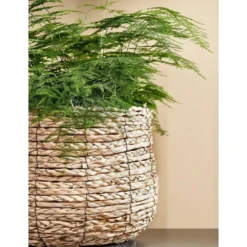Mica Decorations Avalon Mand voor Planten - H31 x Ø30 cm - Lichtbruin
