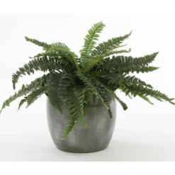 Mica Decorations Bloempot - glanzend groen - keramiek - 16x14 cm