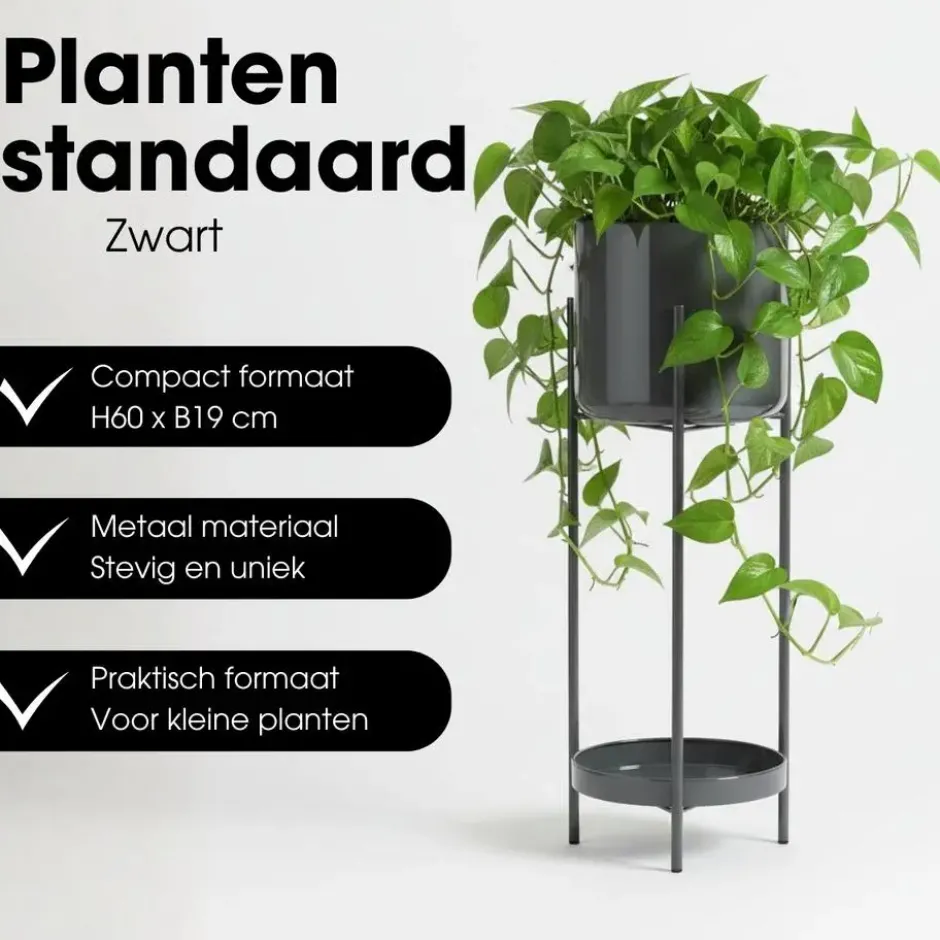 Mica Decorations Colyn Pot op Standaard 60x19cm - Zwart
