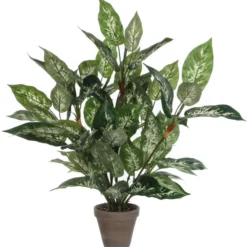 Mica Decorations Dieffenbachia Kunstplant Groen