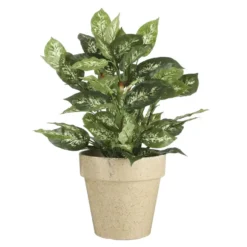 Mica Decorations Dieffenbachia Kunstplant Groen
