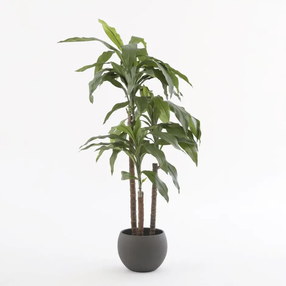 Mica Decorations Dracaena Kunstplant - H95 x Ø60 cm
