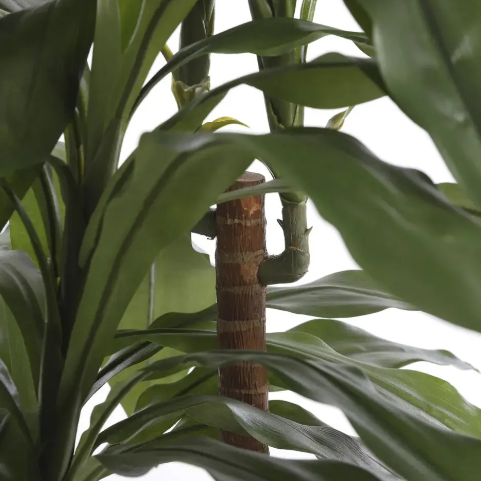Mica Decorations Dracaena Kunstplant - H95 x Ø60 cm