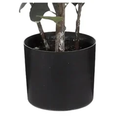 Mica Decorations Eucalyptus Kunstplant - H150 x Ø30 cm - Groen